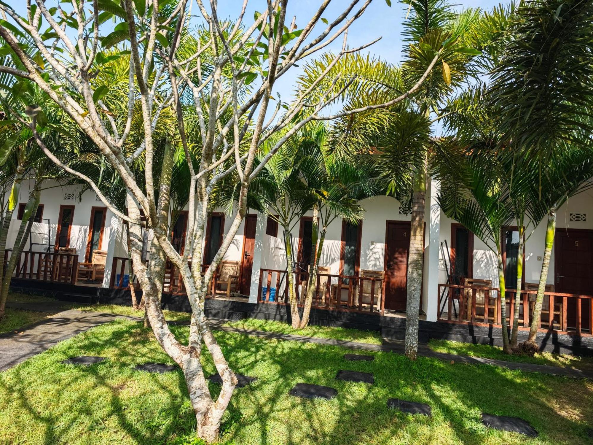 Surf Camp 79 Hotel Kuta  Ngoại thất bức ảnh